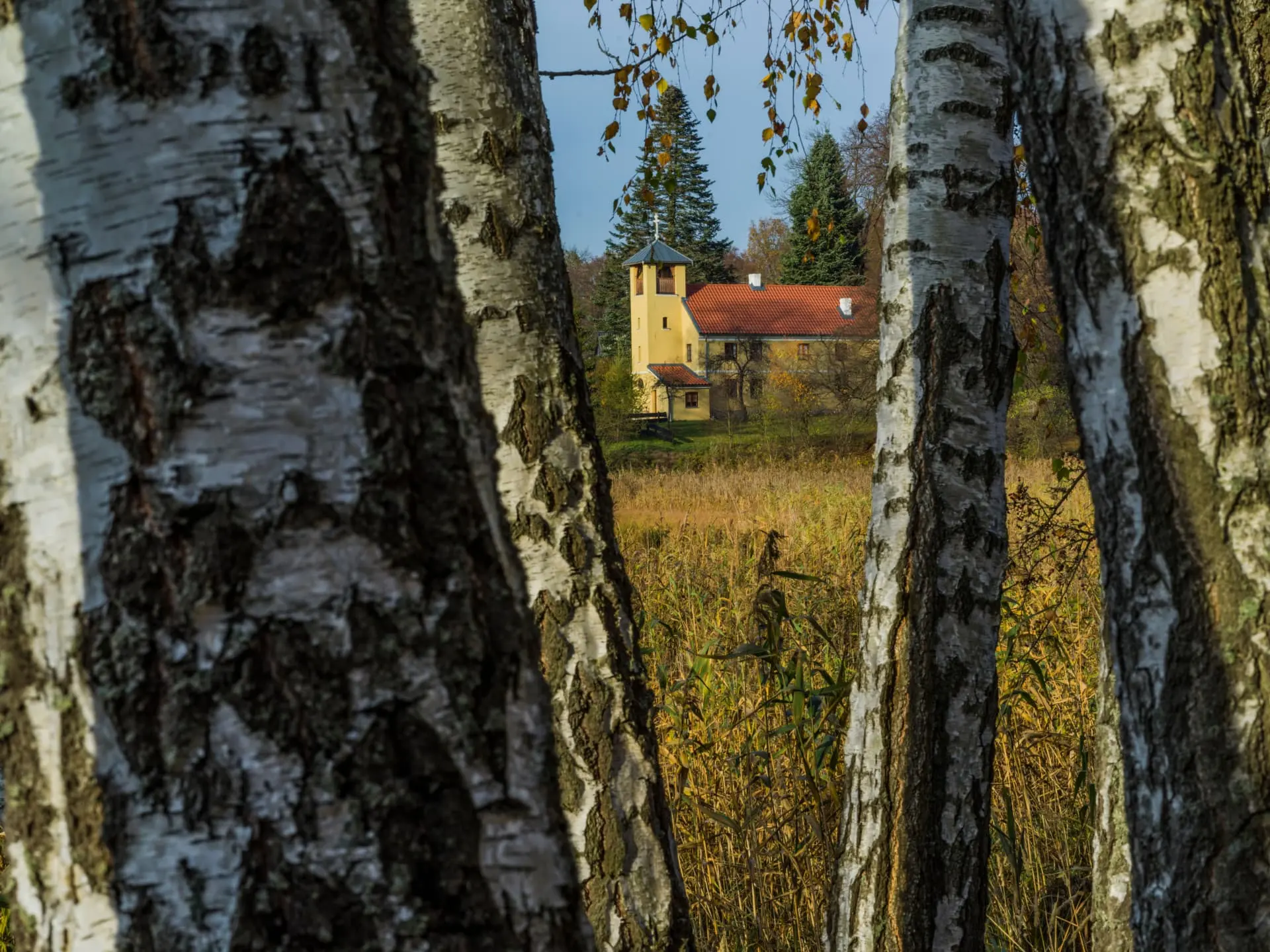 Przyroda otaczająca klasztor